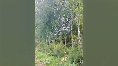 Наслаждение природой Сибири