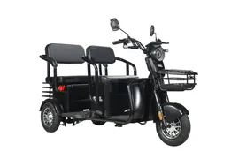 Трицикл WHITE SIBERIA SIBTRIKE R 2000W