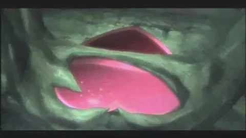 jubei chan in the shadows