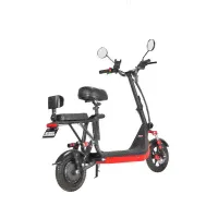 Электробайк White Siberia MINI LIGHT 1200W-3